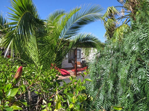 Ferienhaus Lanzarote, Garten